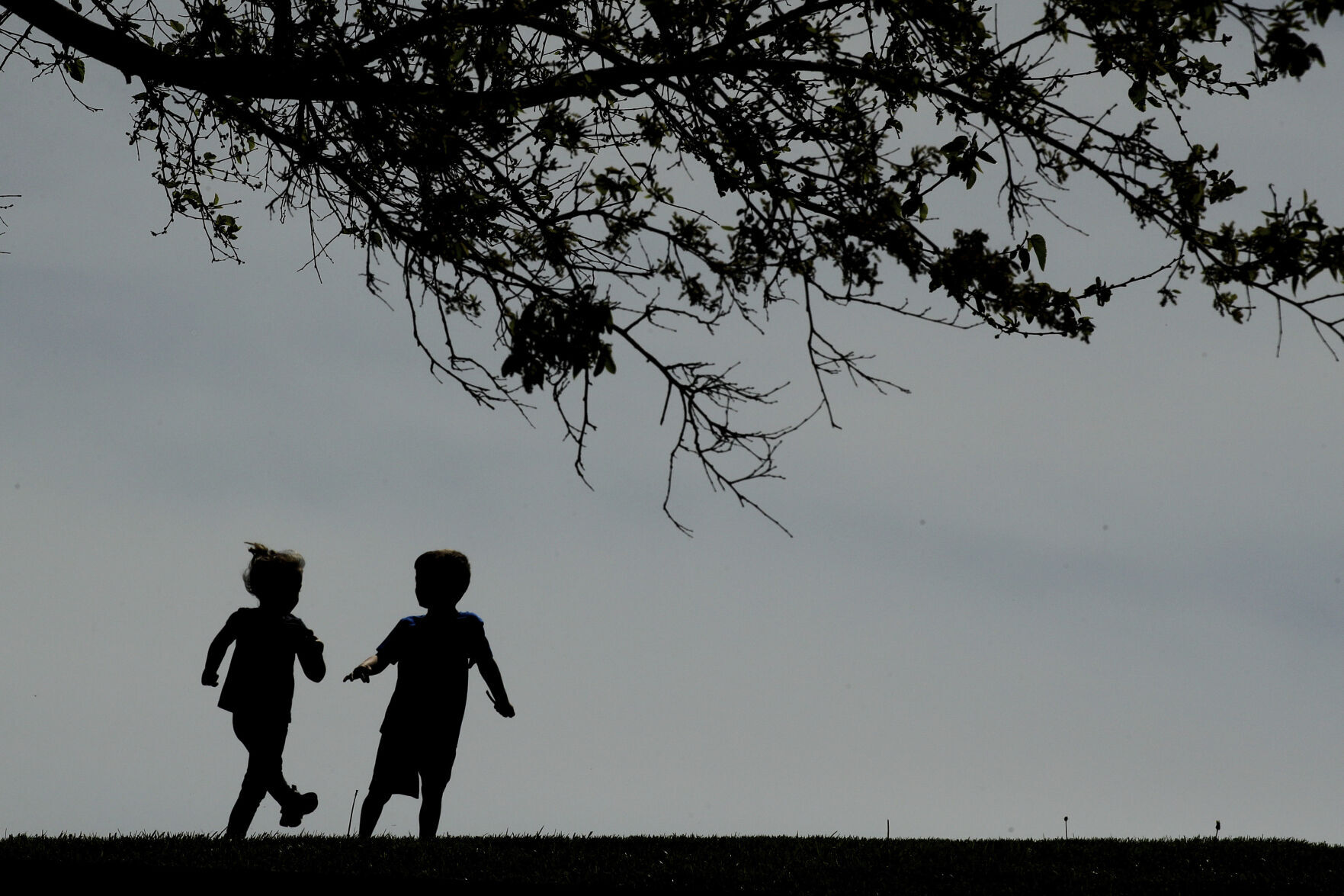Health Study-Kids